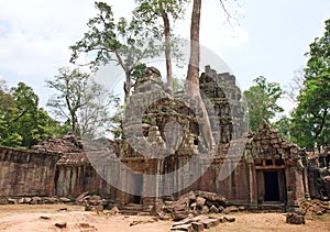 Ta Prohm Temple, Angkor Wat, Cambodia