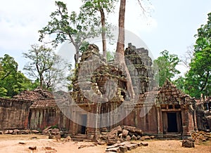 Ta Prohm Temple, Angkor Wat, Cambodia