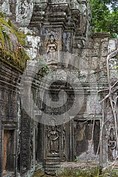 Ta Prohm temple, Angkor Wat, Cambodia