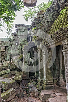 Ta Prohm temple, Angkor Wat, Cambodia