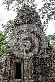 Ta Prohm temple, Angkor Wat, Cambodia