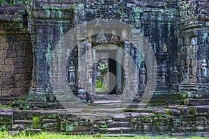 The Ta Prohm temple in Cambodia