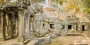 Ta Prohm Temple in Cambodia.