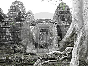 Ta Prohm temple, Cambodia