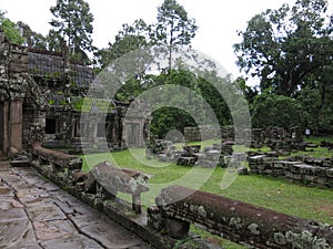 Ta Prohm temple, Cambodia