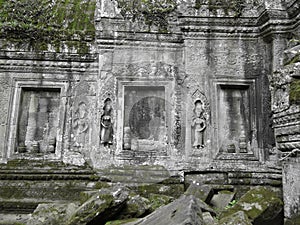 Ta Prohm temple, Cambodia