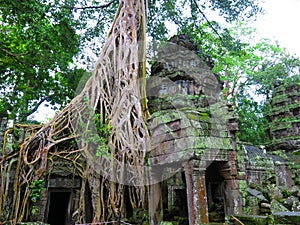 Ta Prohm temple, Cambodia