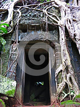 Ta Prohm temple, Cambodia