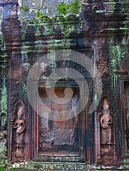 Ta Prohm temple, Cambodia