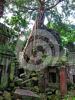 Ta Prohm temple, Cambodia