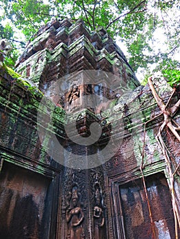 Ta Prohm temple, Cambodia