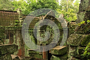 Ta Prohm temple, Cambodia