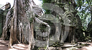 Ta Prohm temple, Cambodia