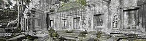 Ta Prohm temple, Cambodia