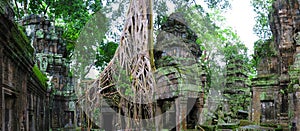 Ta Prohm temple, Cambodia