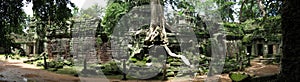 Ta Prohm temple, Cambodia