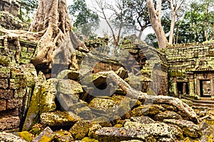 Chrám z komplexní šev sklízet Kambodža 