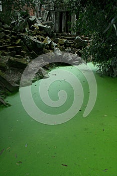 Ta Prohm temple lake photo