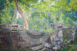 Ta Prohm Temple