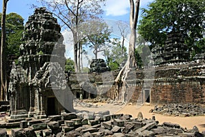 Ta Prohm temple in Siem Reap