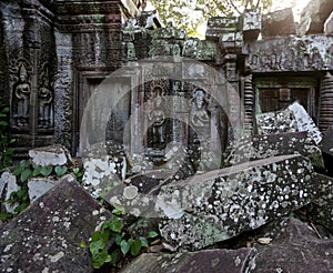Ta Prohm Temple Siem Reap Angkor Located in Cambodia