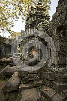 Ta Prohm Temple Siem Reap Angkor Located in Cambodia