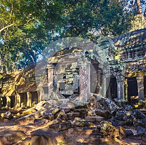 Ta Prohm temple. Siem Reap. Cambodia