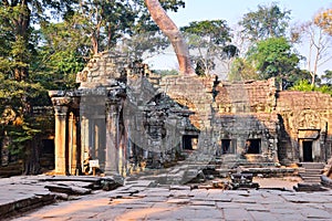 Ta Prohm Temple in Siem Reap, Cambodia.
