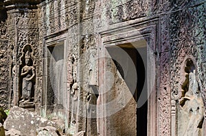 Ta Prohm Temple at Siem Reap Province, Cambodia.