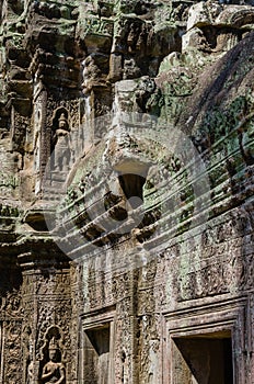 Ta Prohm Temple at Siem Reap Province, Cambodia.