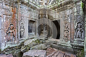 Ta Prohm Temple and Trees photo