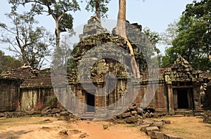 Ta Prohm (Tomb Raider Temple), Angkor Wat, Cambodia