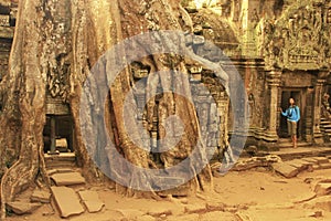 Ta Promh temple, Angkor area, Siem Reap, Cambodia