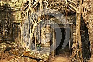 Ta Promh temple, Angkor area, Siem Reap, Cambodia