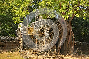 Ta Som temple, Angkor area, Siem Reap, Cambodia