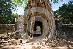 Ta Som Temple, Angkor, Cambodia photo