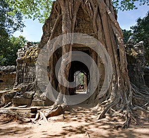 Ta Som Temple, Angkor, Cambodia photo