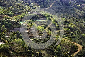 Ta Xua is a famous mountain range in northern Vietnam. photo