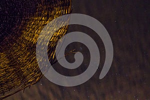 Empty Sofitel hotel by night, Taba, Egypt