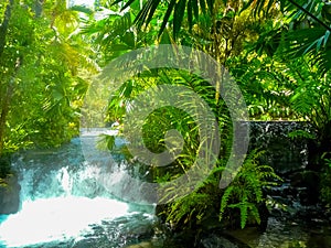 Tabacon Hot Springs River at Arenal Volcano