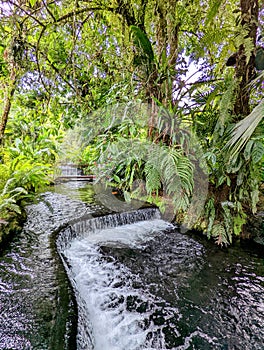 Tabacon thermal hot springs
