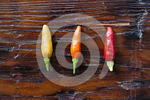 Tabasco Pepper Hot Pepper in Three Colors