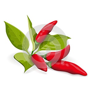 Tabasco Peppers with leaves.