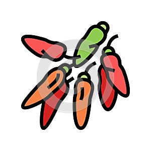tabasco sauce color icon vector illustration photo