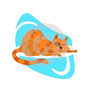 Tabby cat flat color vector character