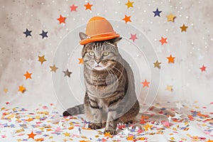 tabby cat with an orange hat amidst a scattering of paper stars