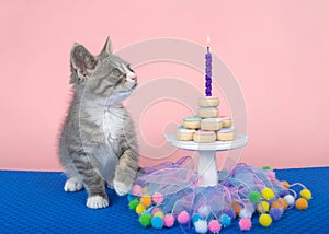 Tabby kitten Happy Birthday donut cake party