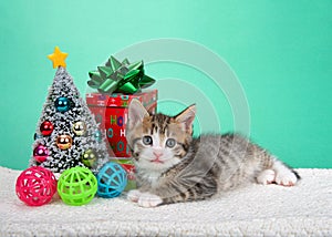 Tabby kitten laying next to tiny Christmas tree