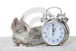 Tabby kitten laying on sheepskin blanket by clock, daylight savings concept