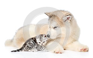 Tabby kitten lying with Alaskan malamute puppy. isolated on white